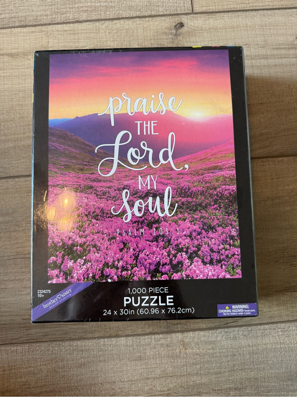 BNIB Brother Sister Design Studio Praise the Lord My Soul Floral Puzzle